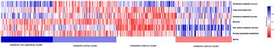 Multi-dimension metabolic prognostic model for gastric cancer